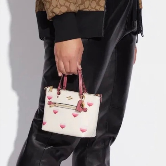 Coach Mini Gallery Crossbody With Stripe Heart Print - Picture 2 of 11